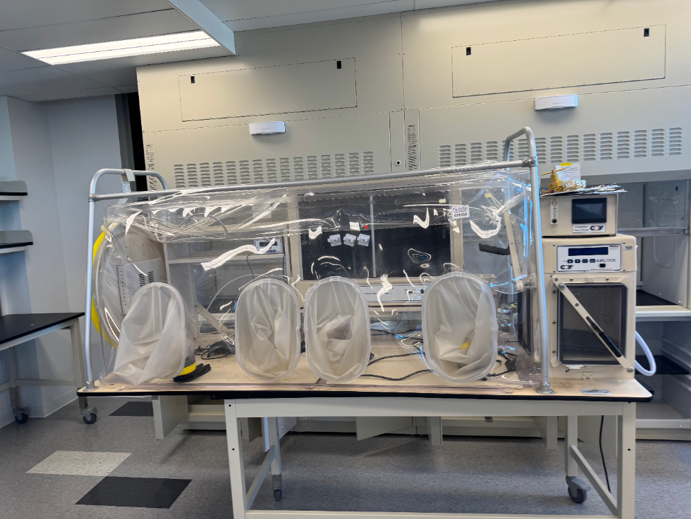 Image of Coy Anaerobic Chamber